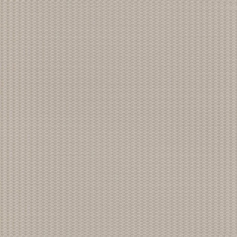 Z12839 Lamborghini Plain Wallpaper