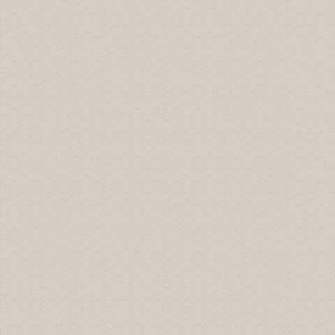 Z80059 Plain beige textured vinyl Wallpaper