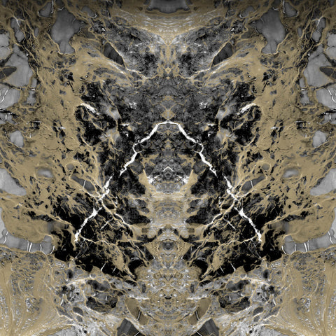 Z80068 Philipp Plein Plain Abstract Panel