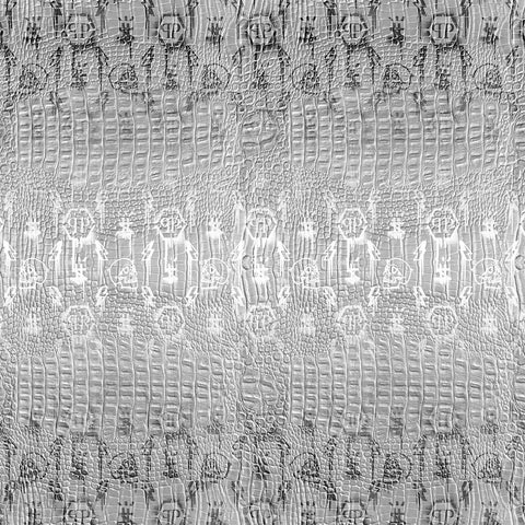 Z8098 Philipp Plein Silver Panel