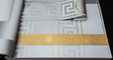 93522-5 Medusa Greek Key  Silver Gold Border