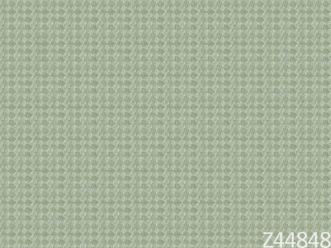 Z44848 Lamborghini Plain Green Wallpaper