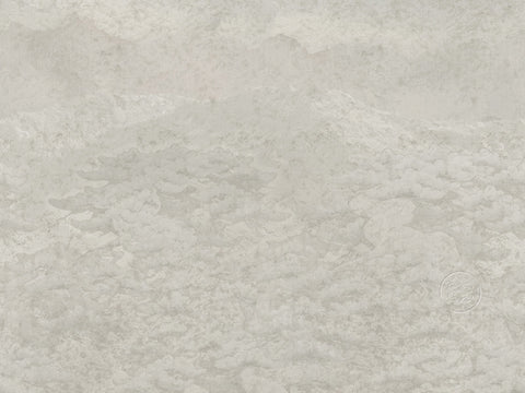 Z64891 Elie Saab Figured Beige Gray Panel