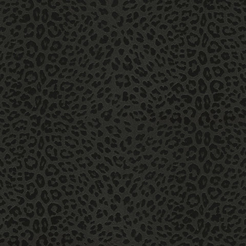 Z80042 Plain black gray Wallpaper