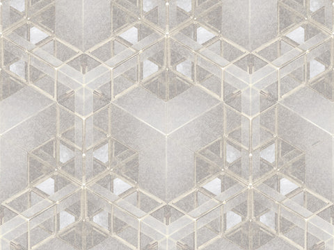 Z90062 LAMBORGHINI Geometric Beige Gray Panel