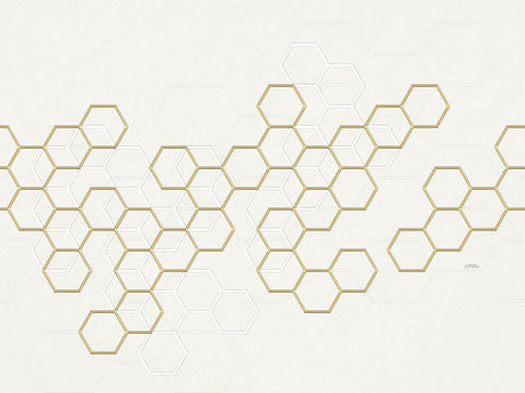 Z90068 Lamborghini Geometric Panel White Gold Hexagon