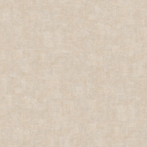 Z15533 Plain Contemporary Wallpaper