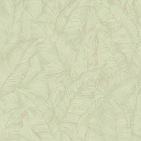 Z30309 Trussardi Tropical Wallpaper