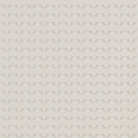 Z76011 Vision Geometric beige Wallpaper