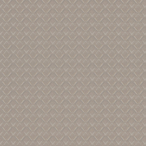 Z76020 Vision Geometric beige gray Wallpaper