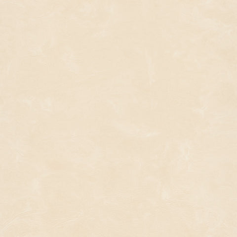 Z76033 Vision plain beige Wallpaper