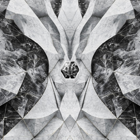 Z81067 Philipp Plein Geometric Panel