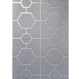 Z80026 Geo Hexagon matt gray silver Wallpaper