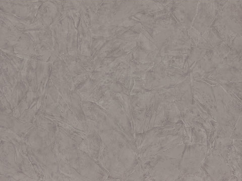 Z46051 Trussardi Plain Gray Silver Wallpaper