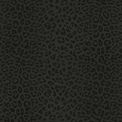 Z80042 Plain black gray Wallpaper